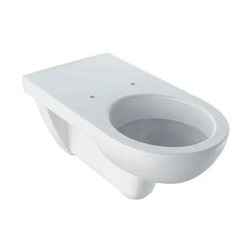 Geberit Selnova Comfort WC šolja konzolna za osobe sa invaliditetom (500.261.01.1)