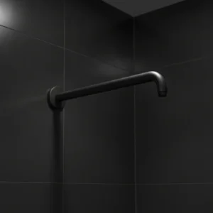 Hansgrohe zidni izliv za tuš ružu 39 cm – mat crna (27413670)