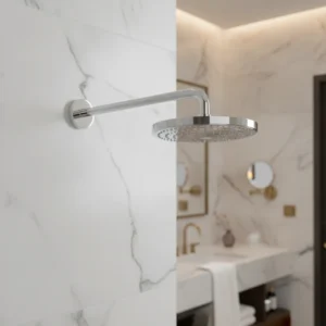 Hansgrohe Raindance Select S nadglavna tuš ruža sa izlivom 240 2jet EcoSmart (26470000)