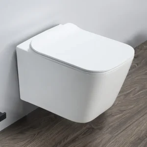 RUBICER Elegant WC šolja konzolna RSB2342SUSELG bela i siva sa daskom