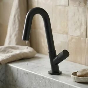 Rosan Stolz S4 Black slavina za lavabo hladna voda