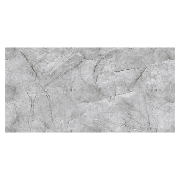 RUBICER Pločice endless nordic gray polirana REN60120NGRP