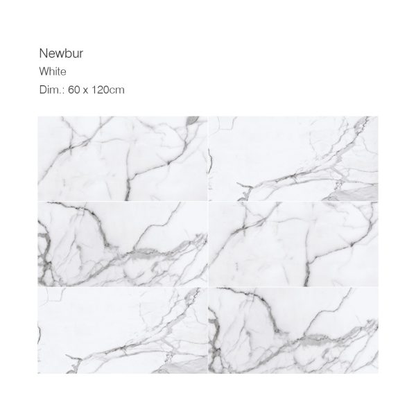 RUBICER Pločice newbur white porcelain matte RNB60120WM - Image 2