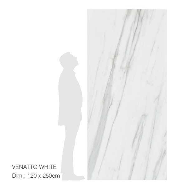 RUBICER Pločice porcelain veneer venatto white RLM120250VEWHNR - Image 2