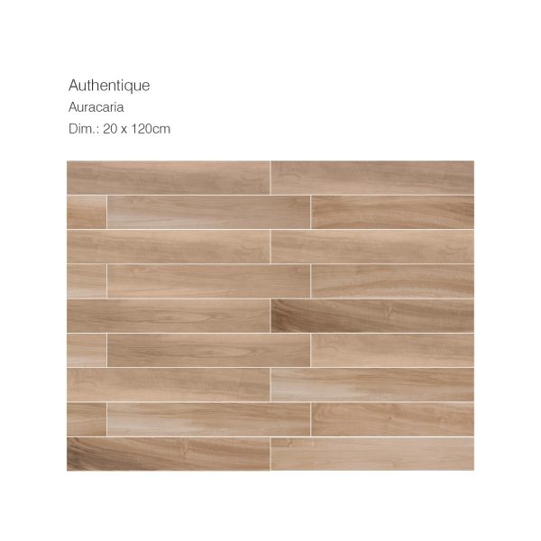 RUBICER Pločice authentique boreal natural porcelain RA20120BO - Image 3